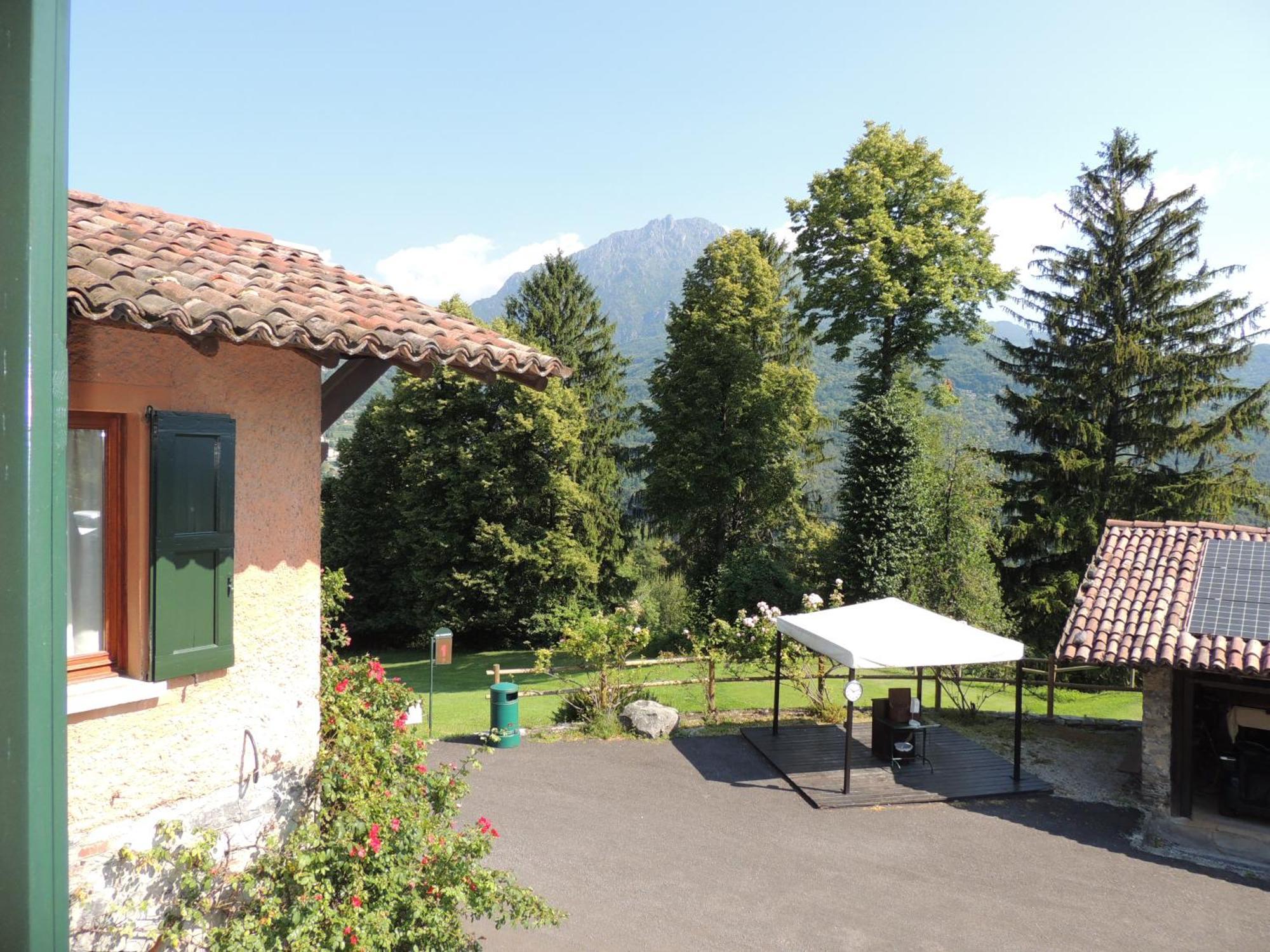 Junior Suite Garden View